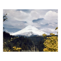 Mount St. Helens / May 1977 posters