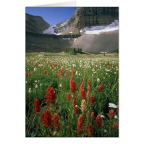 MOUNT TIMPANOGOS WILDERNESS, UT, US, GREETING CARD