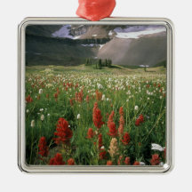 MOUNT TIMPANOGOS WILDERNESS, UT, US, ORNAMENTS