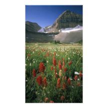 MOUNT TIMPANOGOS WILDERNESS, UT, US, PHOTO PRINT