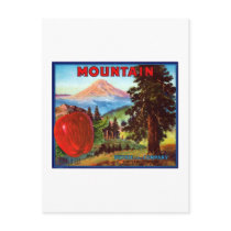 Mountain Apples Portland Oregon postcards by AllVintage Mountain Apples Portland Oregon postcards