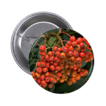Mountain ash tree fruit (sorbus decora) pin