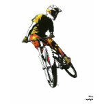 Mountain Biker v.2