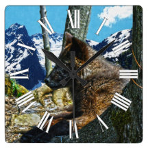 Mountain Black Wolf Resting by Trees Wildlife Art Square Wall Clocks