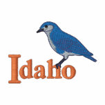 Mountain Bluebird