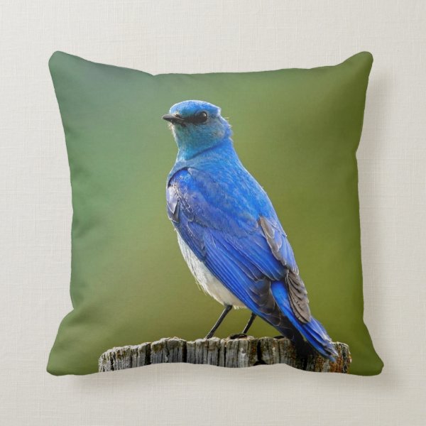 Mountain Bluebird Pillows