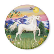 Mountain Country - White Arabian Horse magnets by heartsonggallery Mountain Country - White Arabian Horse magnets
