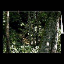 Mountain Creek-B3  Greeting Card cards