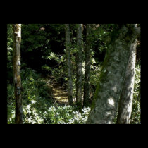 Mountain (Creek) North Carolina posters