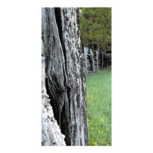 Mountain Escape Photo Cards