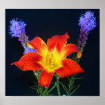 Mountain Garden posters