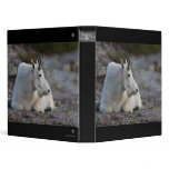 mountain goat binders