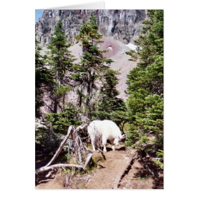 Mountain Goat Card by ebroskie1234