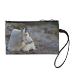 Mountain Goat Change Purse