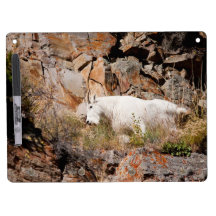 Mountain Goat Dry Erase Boards