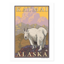 Mountain Goat - Katmai, Alaska Postcard