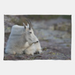 Mountain Goat Kitchen Towels