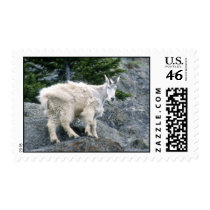 Mountain Goat postage