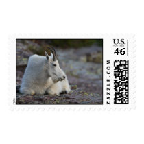 Mountain Goat postage by WorldDesign Mountain Goat postage