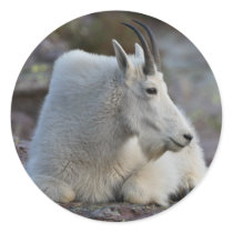 mountain goat stickers by WorldDesign mountain goat stickers