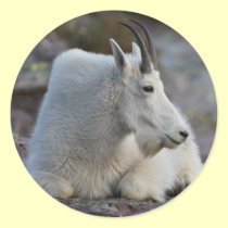 mountain goat stickers
