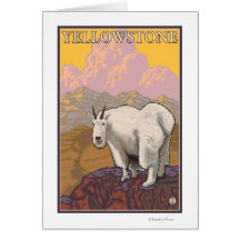 Mountain Goat - Yellowstone National Park Greeting Cards