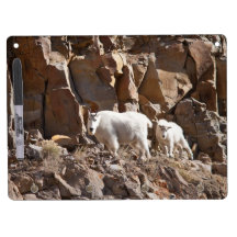 Mountain Goats Dry-Erase Boards