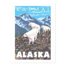 Mountain Goats Scene - Katmai, Alaska Postcards