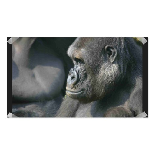 Mountain Gorilla Business Card (back side)