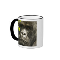 Mountain Gorilla, Gorilla beringei beringei, Mug