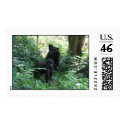 Mountain Gorilla Mother & baby postage