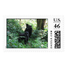 Mountain Gorilla Mother & baby Stamps