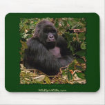 Mountain Gorilla Mousepad Collection