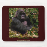 Mountain Gorilla Mousepad Collection