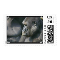 Mountain Gorilla Postage Stamp