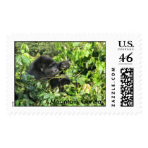 Mountain Gorilla Solo eating postage by catdogdz Mountain Gorilla Solo eating postage