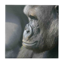 Mountain Gorilla  Tile