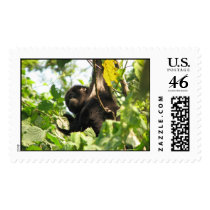 Mountain Gorilla Young postage by catdogdz Mountain Gorilla Young postage