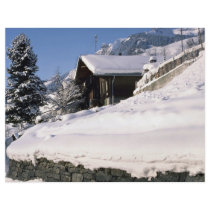 Mountain home, Switzerland Europe Full Color Flyer