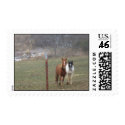 Mountain Horses postage