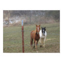 Mountain Horses posters by sharp5269 Mountain Horses posters