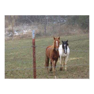 Mountain Horses Print by sharp5269