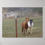 Mountain Horses Print