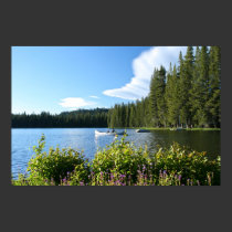Mountain Lake, Canoe, Wildflowers posters