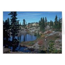Mountain Lake Card