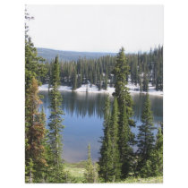 Mountain Lake flyers