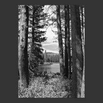 Mountain Lake, Forest, Black and White (portrait) posters