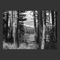 Mountain Lake, Forest, Black and White posters