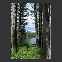Mountain Lake, Forest (portrait) posters
