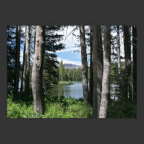Mountain Lake, Forest posters